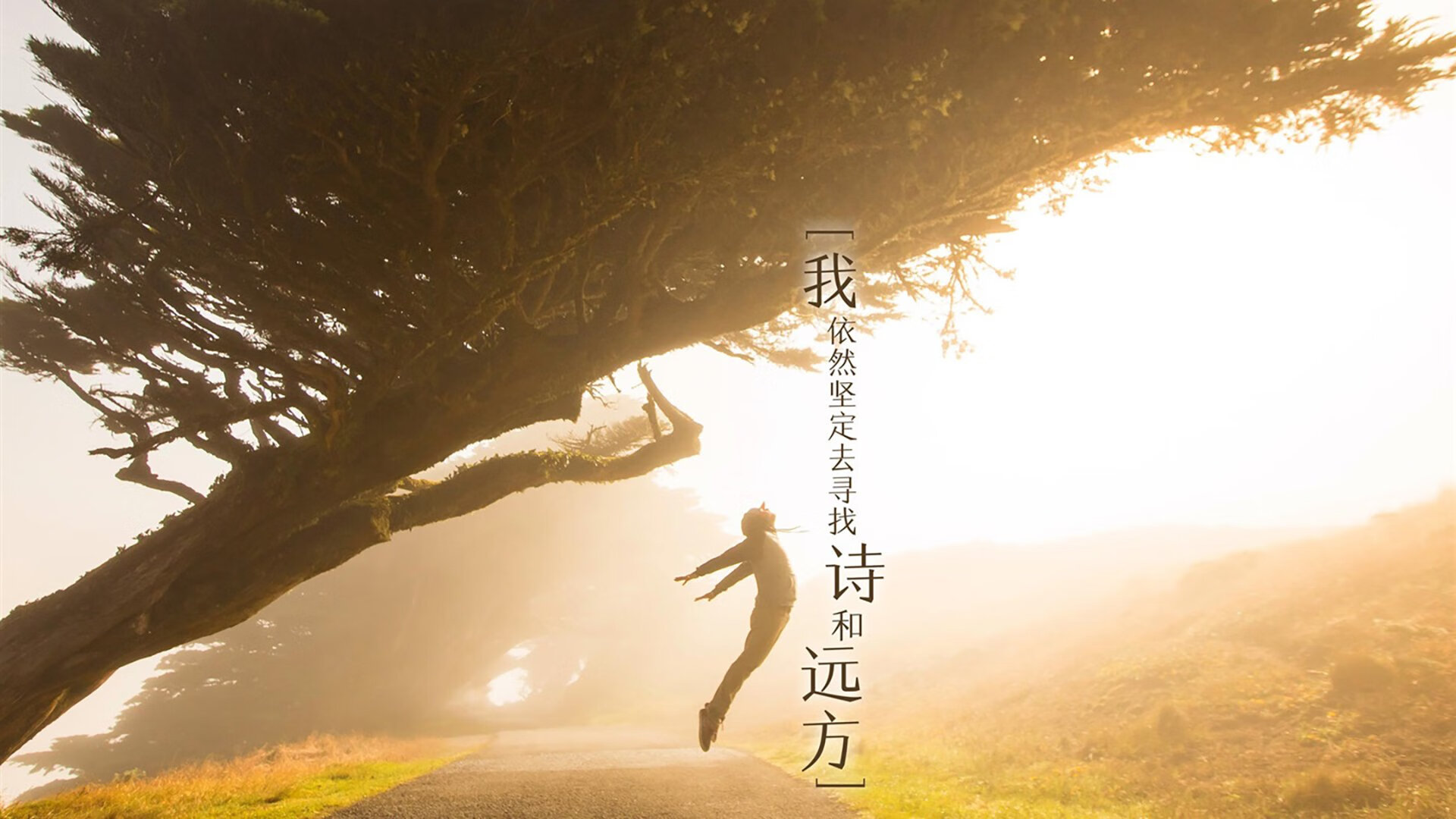 中超外援实际贡献值与薪资比对分析，中超外援水平