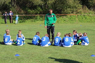 九游娱乐(jiuyou)官方网站-意甲赛事中应用心理暗示战术干预效果研究