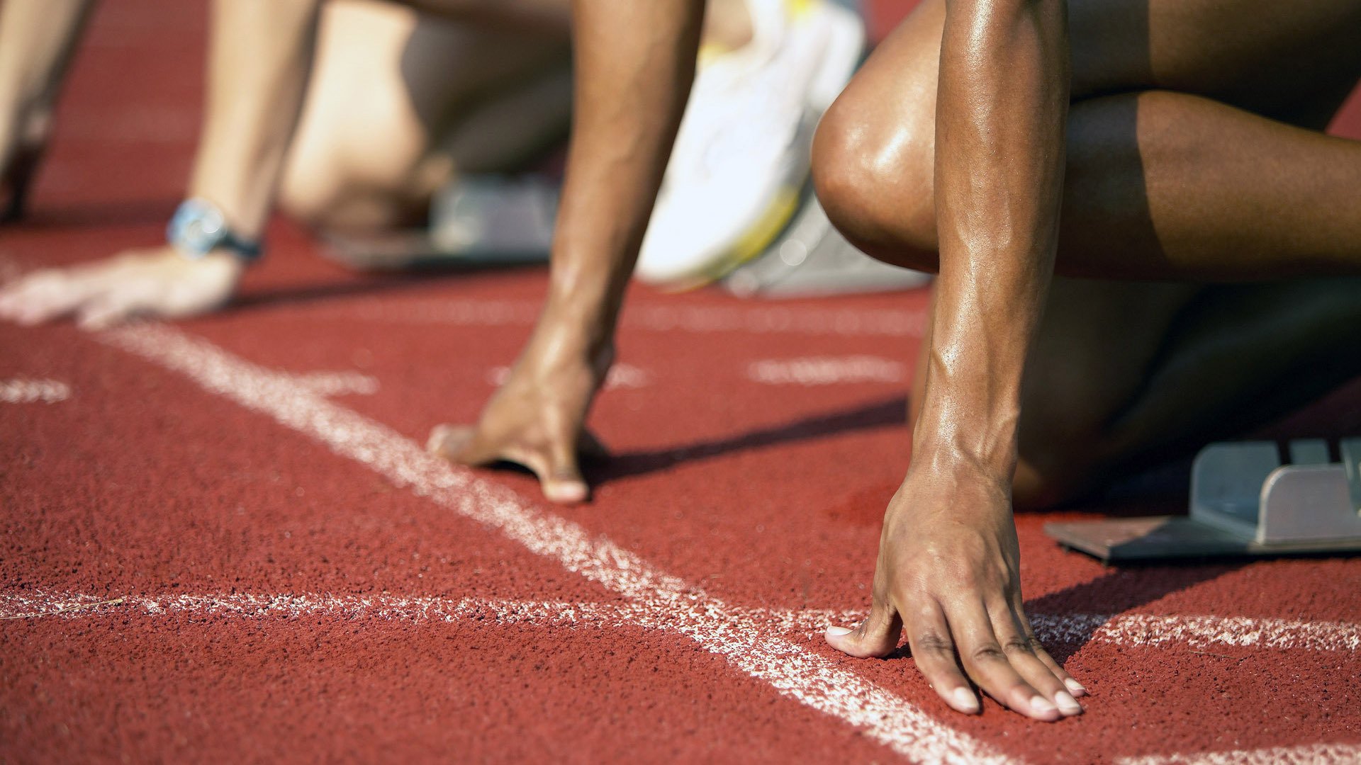 “亚戈·卡尔曼的领袖作用，推动美洲狮队在全球橄榄球赛场中突围”