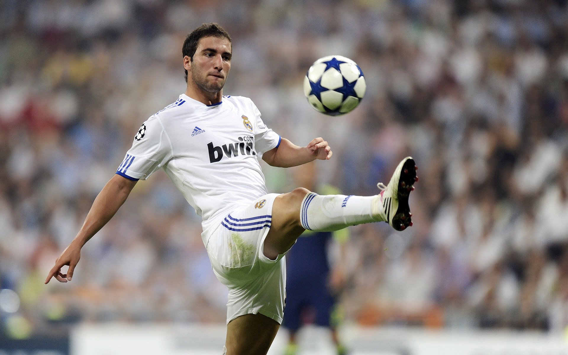 世界杯：一支球队用足26人大名单 被赞“人尽其用” 仍遗憾止步八强